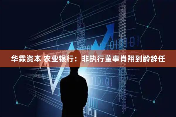 华霖资本 农业银行：非执行董事肖翔到龄辞任