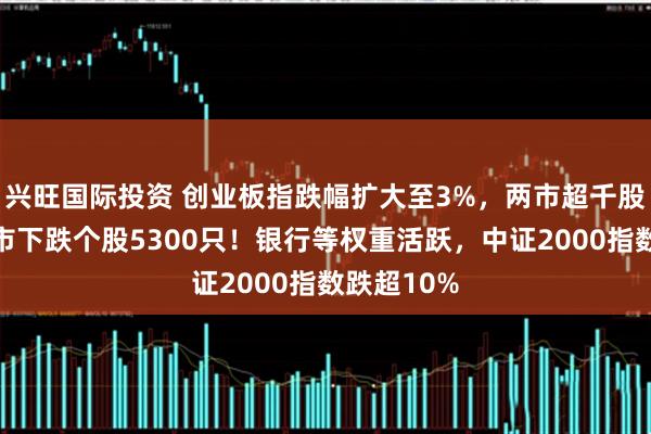 兴旺国际投资 创业板指跌幅扩大至3%，两市超千股跌停，三市下跌个股5300只！银行等权重活跃，中证2000指数跌超10%