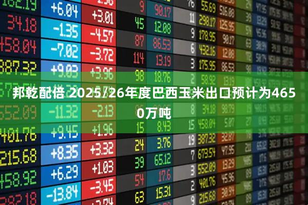 邦乾配倍 2025/26年度巴西玉米出口预计为4650万吨